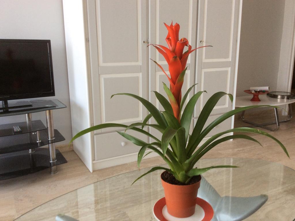 Appartement Dolce Vita Cagnes-sur-Mer Pokoj fotografie